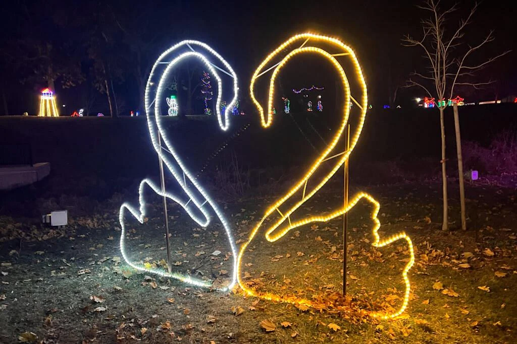 Realizzazione fotografica Luminarplus 33