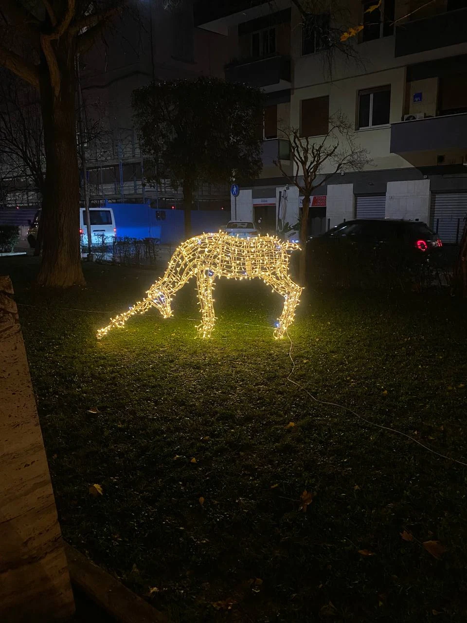 Realizzazione fotografica Luminarplus 37